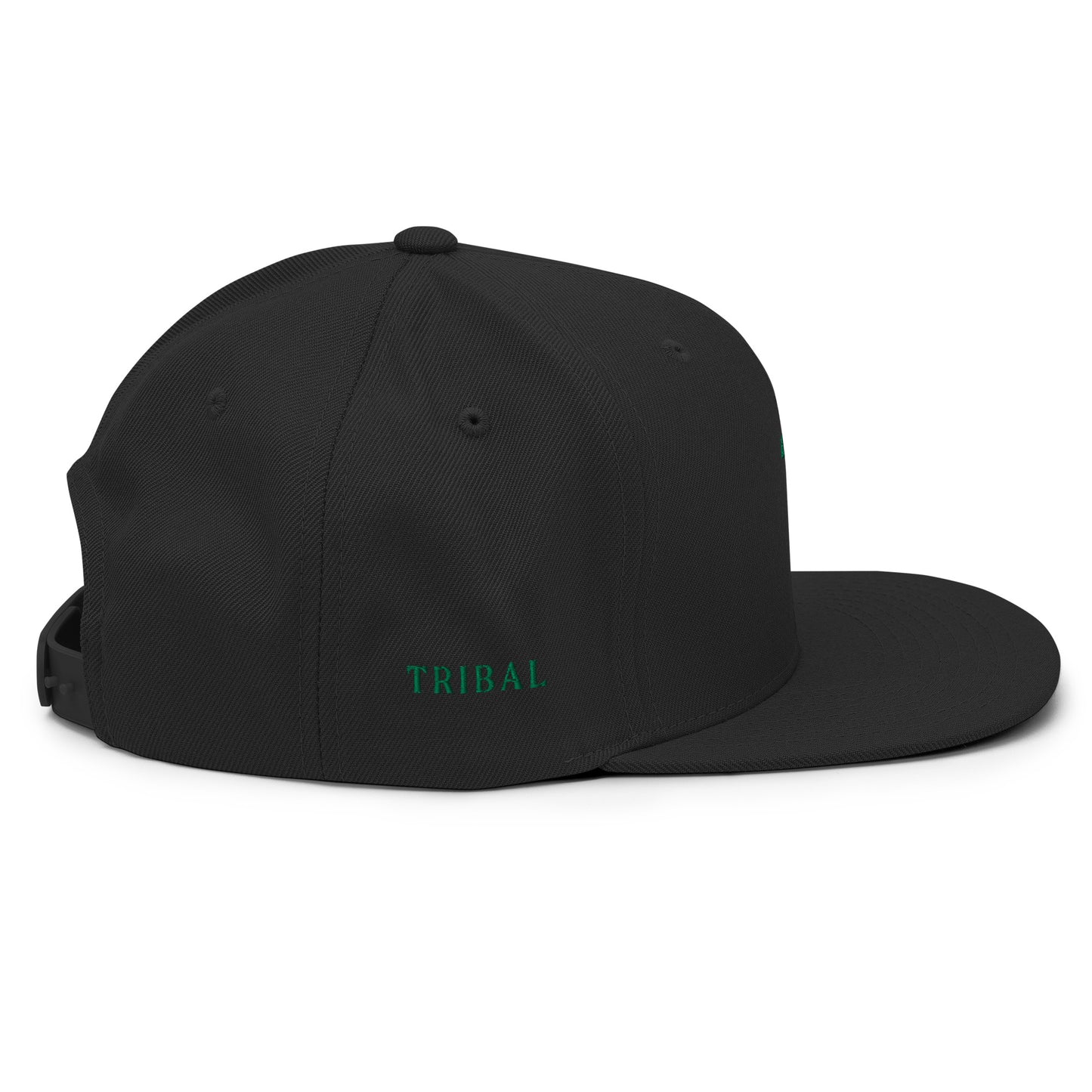 TL Classic Snapback Hat