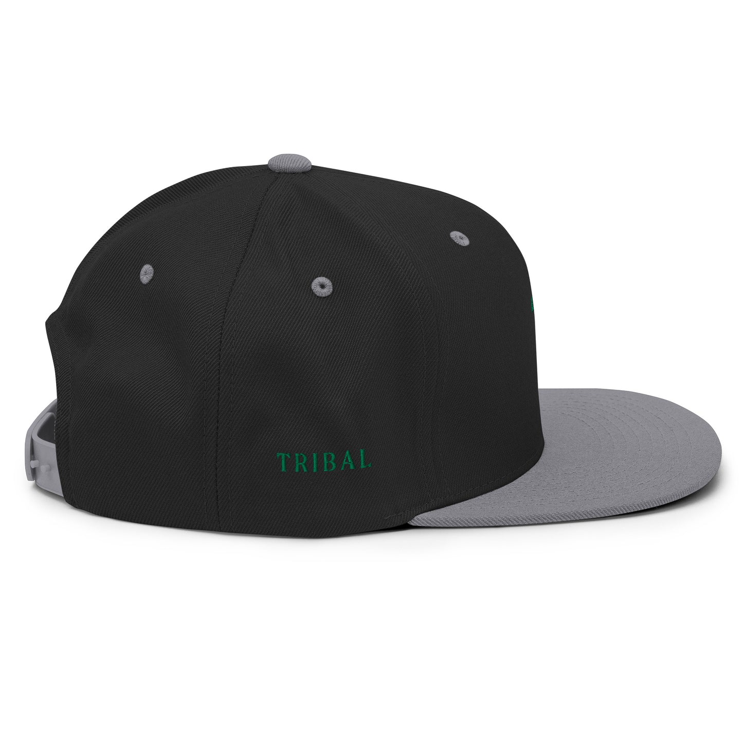 TL Classic Snapback Hat